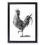 A Cock In Black And White by Johan Teyler - Single Picture Frame Print-55457860-55457867