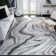 Swindle Abstract Indoor Rug