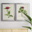 «Pretty Pink Botanicals II», ensemble de 2 impressions sur toile encadrées-1800022750-1800022749