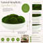 Mousse conservée Vanora en pot-542861115