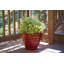 Pot à fleurs rond Beehive-91225320