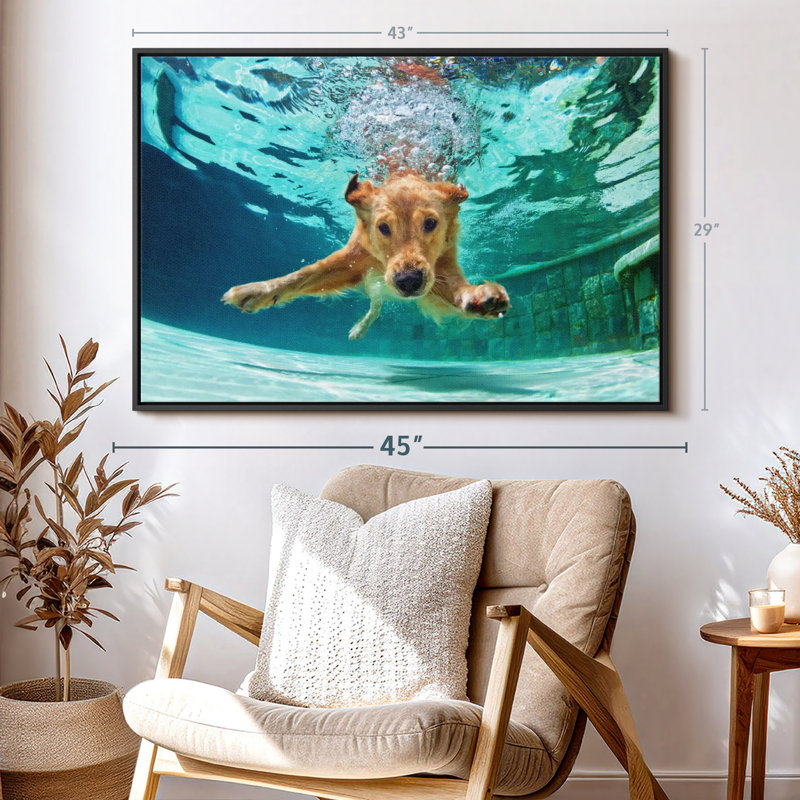Impression sur toile Golden Retriever Diving, H 29 po x l 43 po