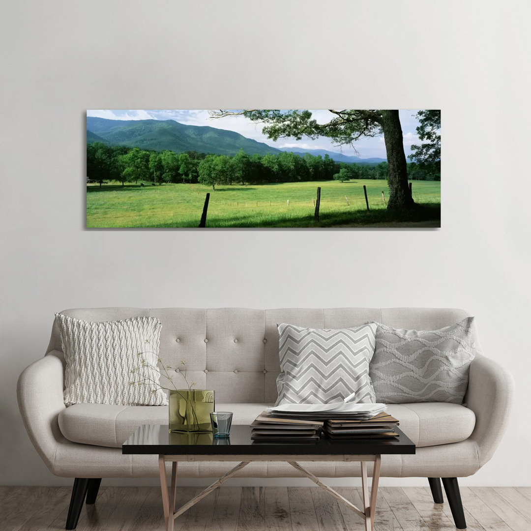 Parceled Meadow, Cades Cove, Great Smoky Mountains National Park, Tennessee, USA - Wrapped Canvas Panoramic Print