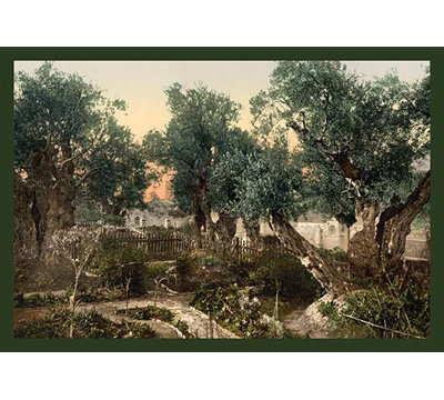 " The Gardem Of Gethsemane "