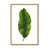 Polished Gold Framed Print n'est pas disponible