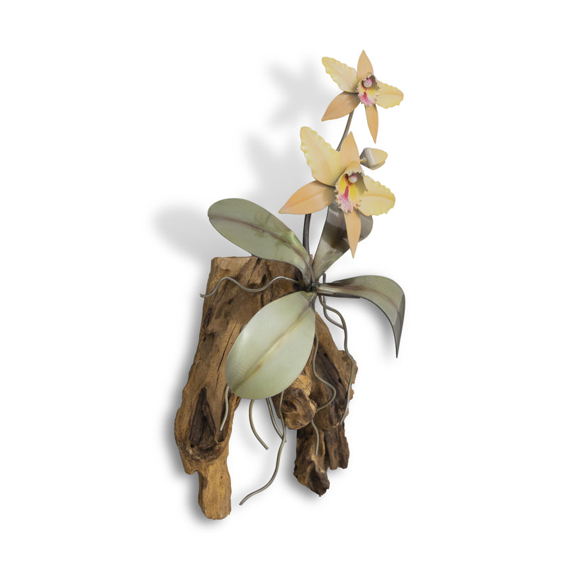 Orchidée murale Cattelya