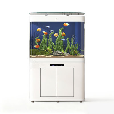 Curved Bottom-Filter Ecological High-Definition Aquariums Tank
