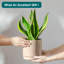 FLHPOT Ceramic Pot Planter-627609364