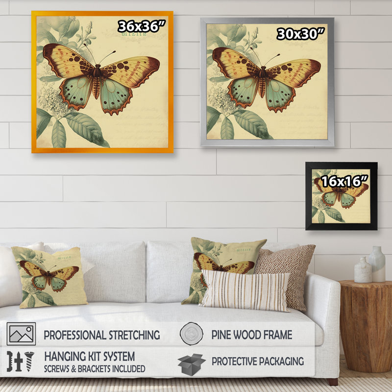 «Angenita Vintage Illustration Of Butterfly VI», reproduction sur toile, H 36 po x l 36 po x P 1 po