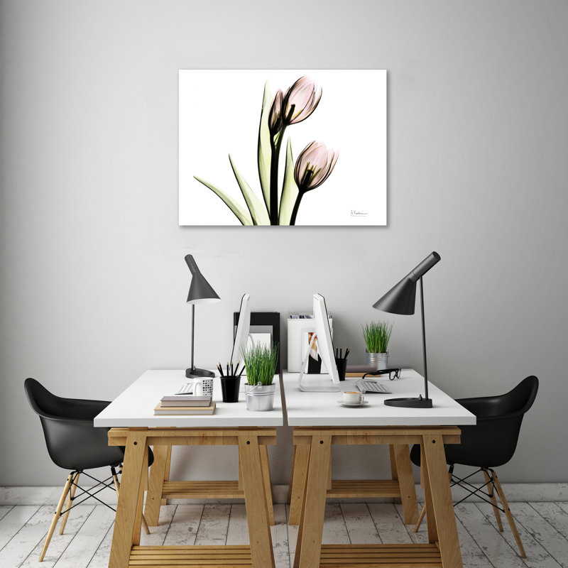 Tulip Love H37 - Wrapped Canvas Print, 61 cm H x 81 cm W