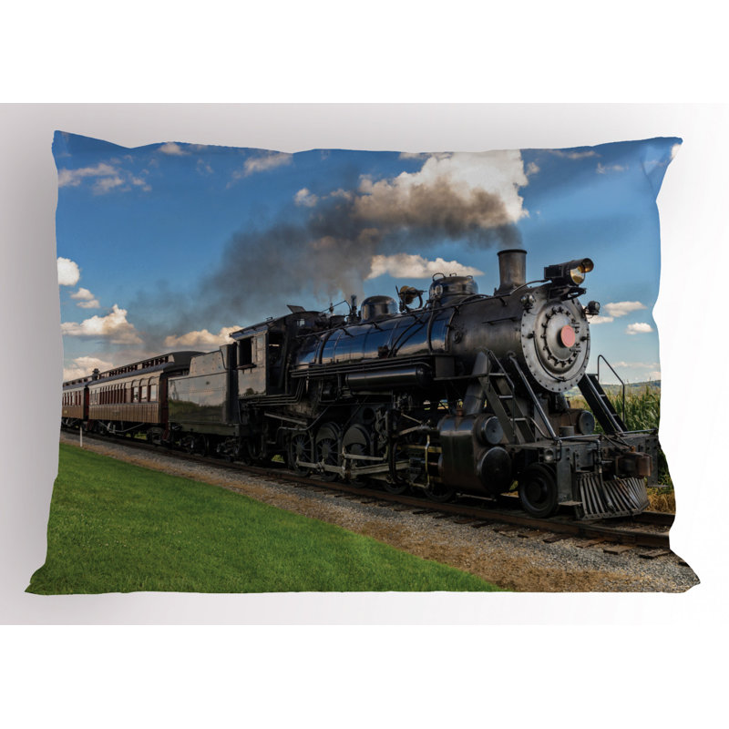 Steam Polyester Sham Set, Twin