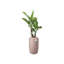 Pure Beads Pot Planter-48811439-48811441