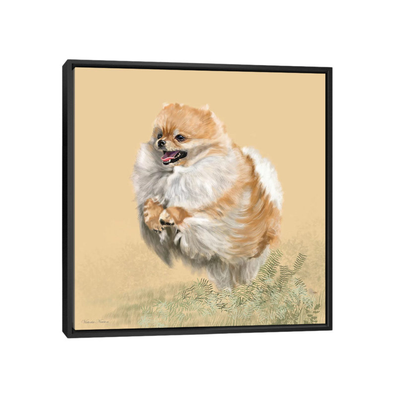 «Pomeranian» par Vicki Newton, reproduction sur toile tendue, H 18 po x l 18 po x P 1,5 po, Toile avec cadre noir