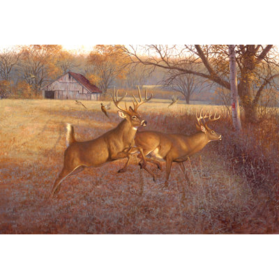 Gholston Non-Slip No Pattern Doormat