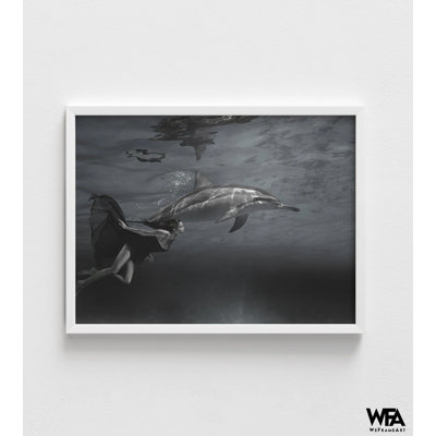 Dolphin Photography Decor, Ocean Dolphin Picture Print, Ocean Aesthetic Art Poster, Nautican Dolphin Poster
