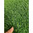 Extra-Large Outdoor Dog Turf