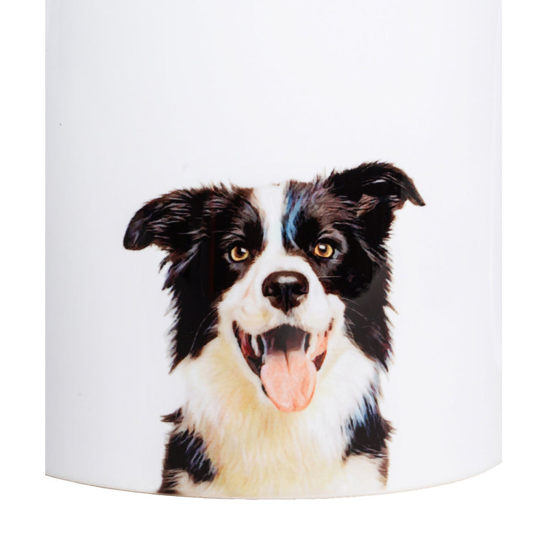Portrait d'un animal de compagnie - I Love Border Collie