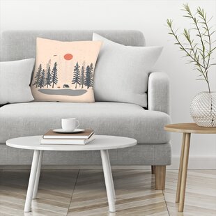 https://assets.wfcdn.com/im/28539894/resize-h310-w310%5Ecompr-r85/4597/45970567/floral-throw-pillow.jpg