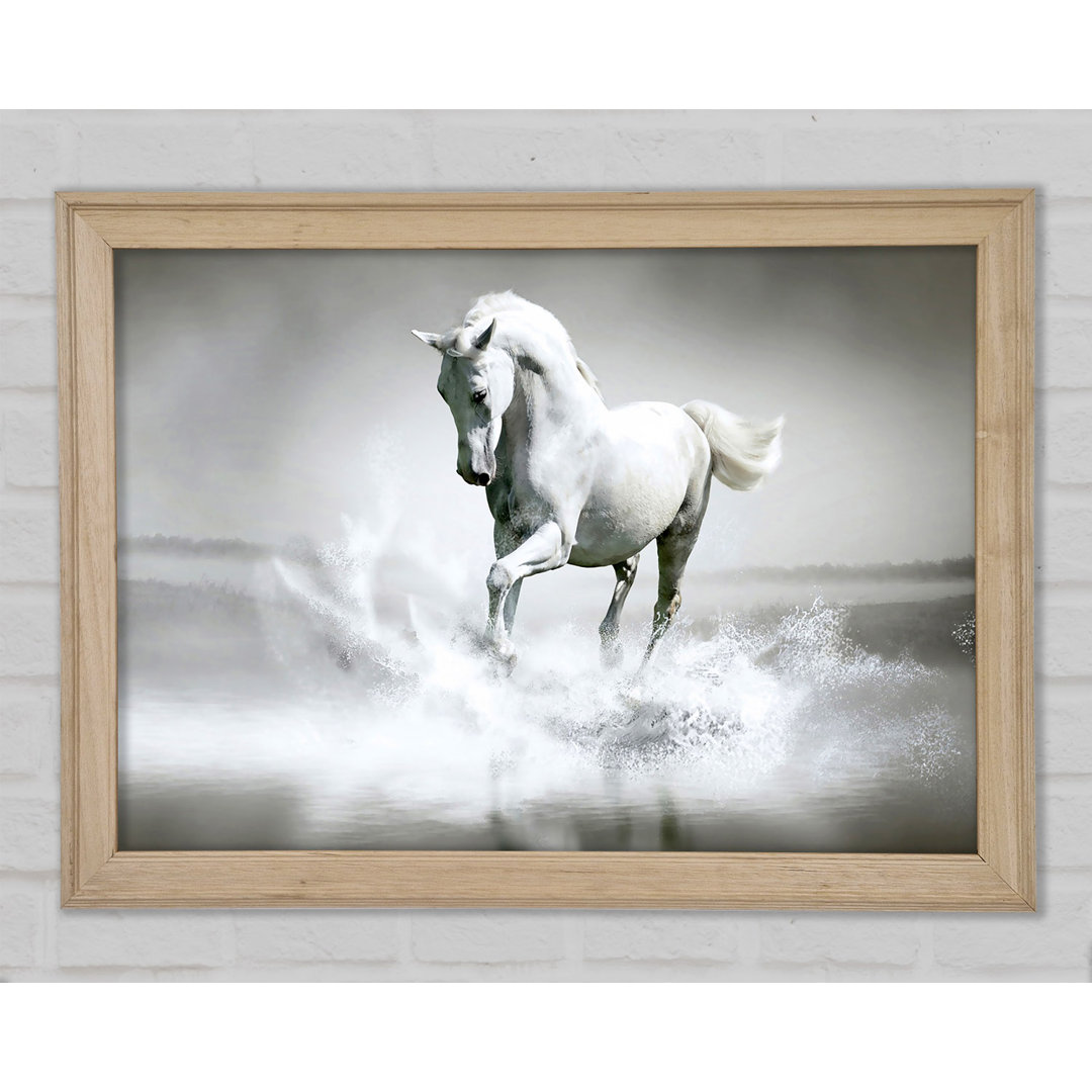 White Water Horse Gerahmter Druck