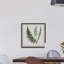 Plant Study 2 Indian Ferns - Reproduction d'art graphique encadré-26161393