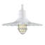 Luminaire suspendu conique à 1 lumière Fitzhugh-23541078-23541071