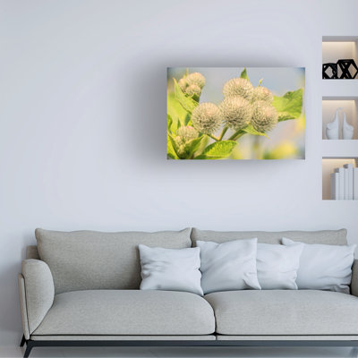 Art sur toile Gordon River