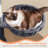 145cm H Cat Tree