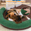 Panier pour chat champignon facile à monter (58 cm) avec griffoir, panneau en sisal et balle