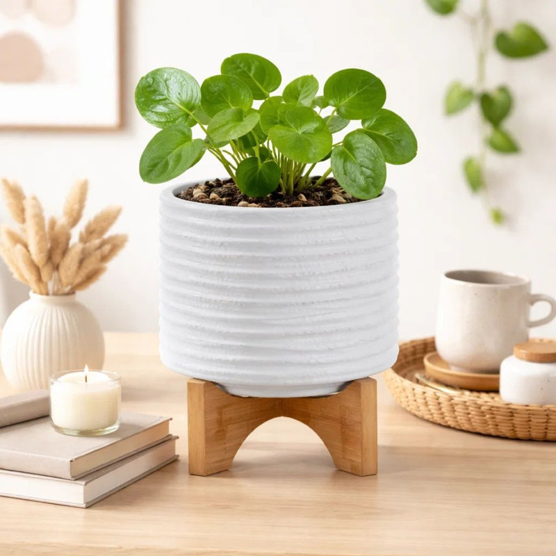 Pot à fleurs Jeny sur support en bois, céramique blanche texturée 8 pouces