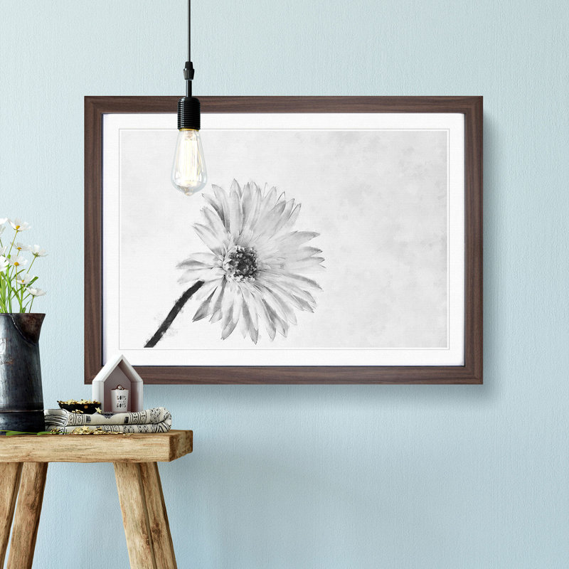 Flower Sketch - Framed Print, 24cm H x 33cm W x 2cm D, Walnut Framed