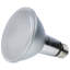 12 Bulb-1921353040