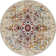 Oriental Indoor Rug