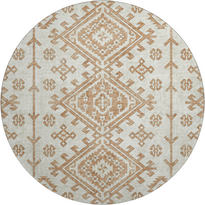 Premium Machine Washable Driessen AMF73 Canyon Rug