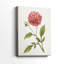 Scarlet Botanical I - Cavas enveloppés de galerie-108826477