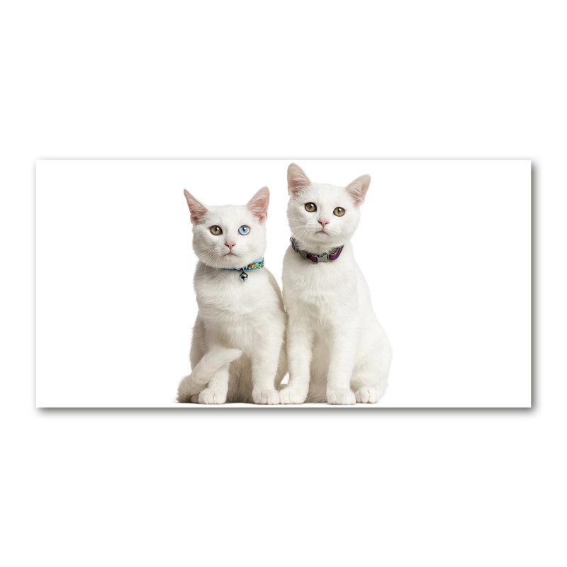 White Cats - Wrapped Canvas Print