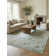 Oriental Area Rug in Blue