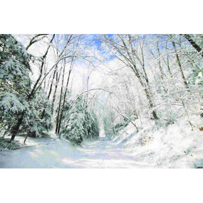 Tempête hivernale