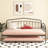 Fox Daybed With Trundle-458834836