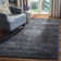Overholt Performance Oriental Rug