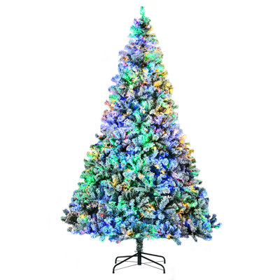 Lighted Christmas Tree