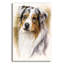 «Australian Shepherd» par Barbara Keith - reproduction non encadrée-2026641952