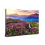 1 Piece Wrapped Canvas Wall Art