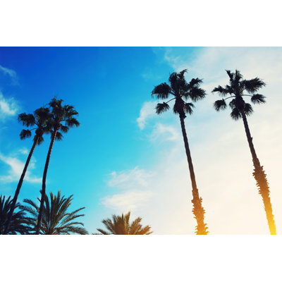 Lush Palm Trees 1 Piece Wrapped Canvas Wall Art