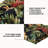 Outdoor Cushion-1155012517