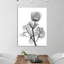Lonely Anemone - Wrapped Canvas Print-229328963