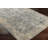 Gorsuch Oriental Machine Woven Slate/Beige Area Rug-416045309