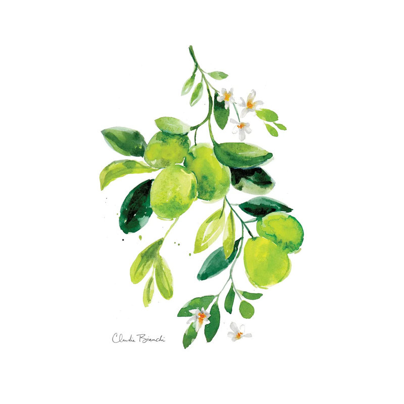 " Limes " by Claudia Bianchi Painting Print, 12" H x 8" W x 0.75" D