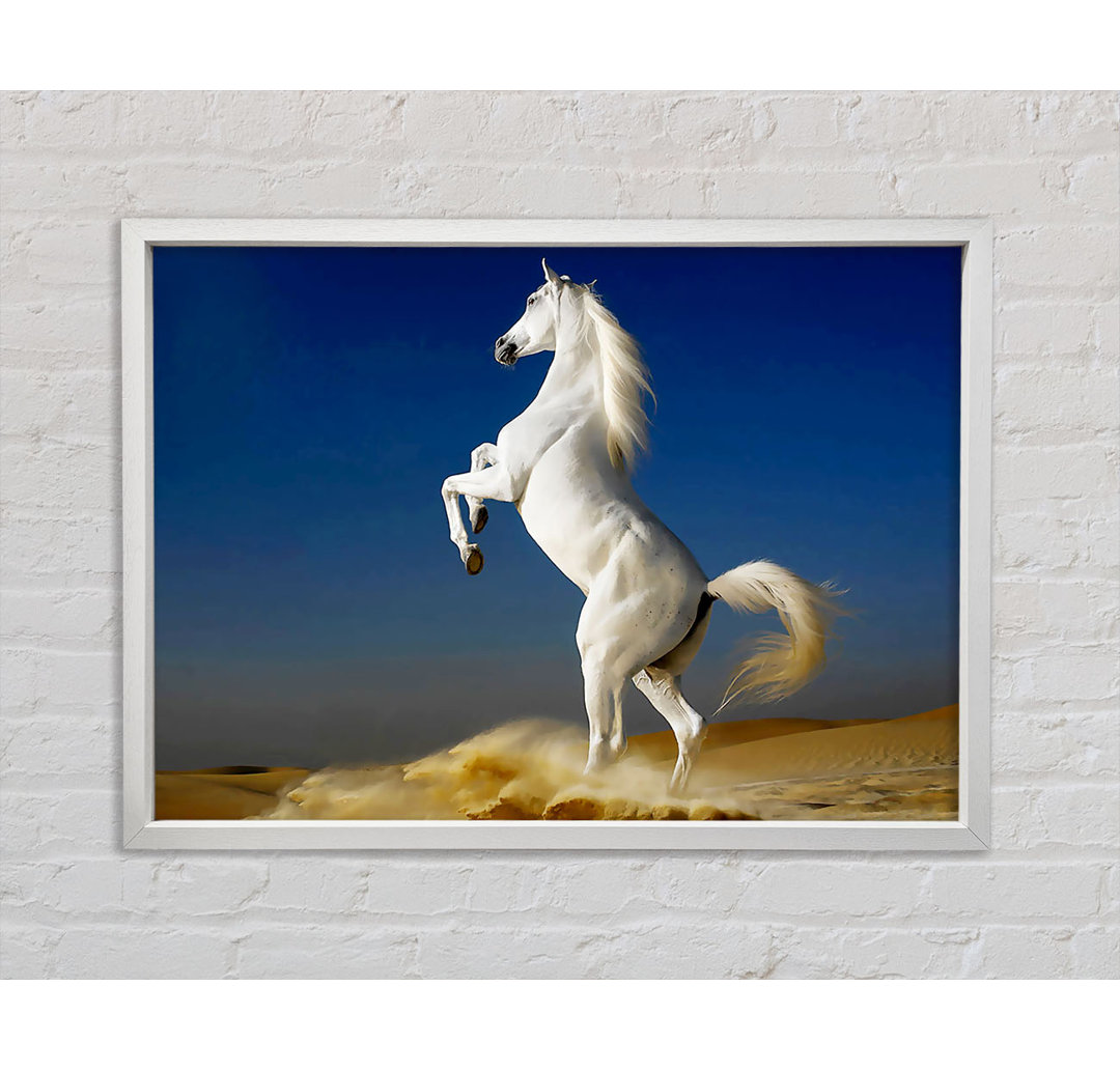 White Horse Stance - Einzelner Bilderrahmen Kunstdrucke auf Leinwand