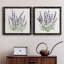 Lavande botanique I - ensemble de 2 peintures sur toile encadrées-2026641883-2026641856