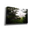 Toile épique Graffiti «Beacon In The Mist» par Rick Berk, 40 po x 26 po
